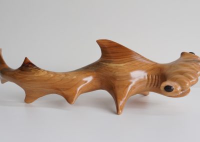 HammerHead Shark- Side View Right