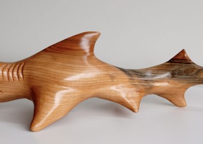 HammerHead Shark - side view Left