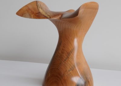 Whale-Tale_L-Western Maple
