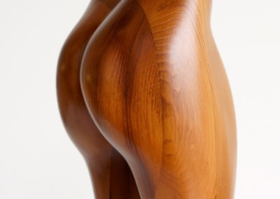 Female Torso -Right Closeup