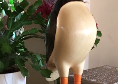 Puffin in Livingroom setting